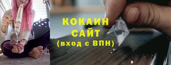 шишки Вязьма
