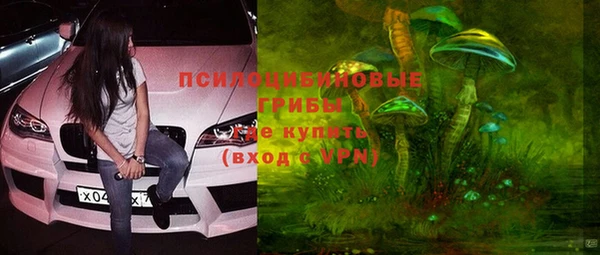 тгк Горно-Алтайск