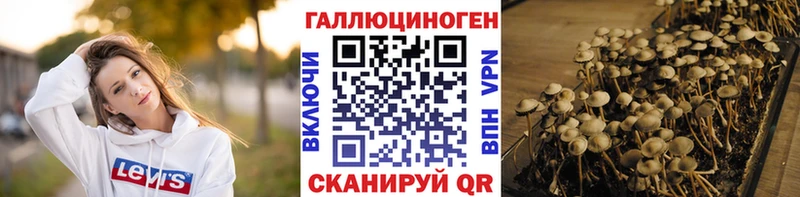 Галлюциногенные грибы ЛСД  Завитинск 